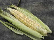 Eight-Rowed Corn
